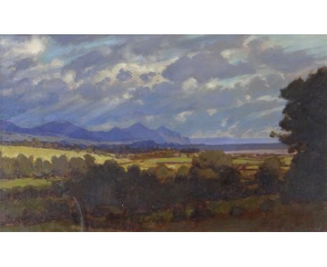 DAVID WOODFORD oil on card - landscape, entitled verso 'The Rivals' and dated 1997, on The Gallery Manchester Art House label