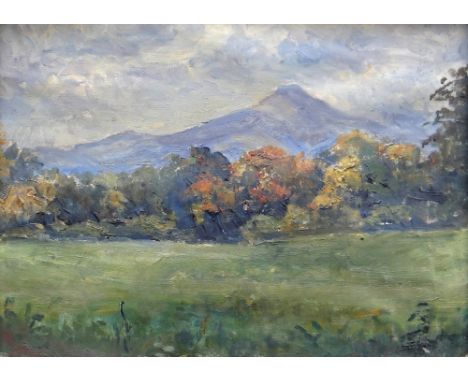 ATTRIBUTED TO GWENNY GRIFFITHS (1867-1954) oil on paper - landscape, entitled 'Sugar Loaf - Abergavenny', 29 x 37cms Provenan