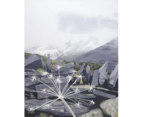 HUW JONES large oil on canvas - Eryri landscape in winter, entitled verso 'Cow Parsley Skeleton', signed verso and dated 2005