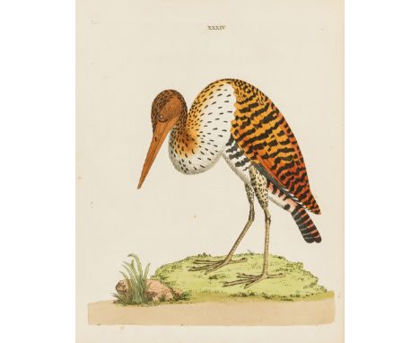 Brown (Peter) New Illustrations of Zoology, first edition, text in English and French, 50 hand-coloured engraved plates (most