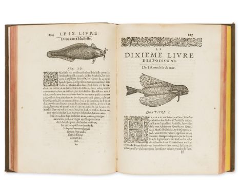 Fish and Marine Animals.- Rondelet (Guillaume) La Premiere [Seconde] Partie de l'Histoire Entiere des Poissons, [translated b