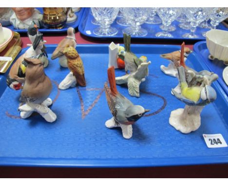 Goebel- Eleven Matt Pottery Birds, to include goldfinch, waxwing, blue titmouse, piercrest, redstart. 