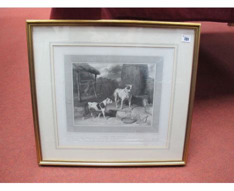 JOHN SCOTT AFTER ABRAHAM COOPER (1787-1868) Crib and Rosa, double portrait of Staffordshire Bull Terriers, engraving, pub. Ju