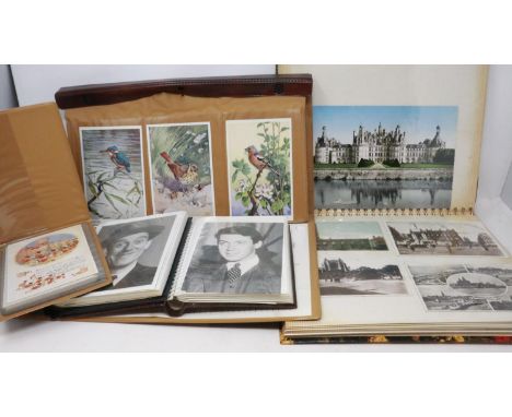 Mixed postcards including The Big Shots album. UK P&amp;P Group 3 (£30+VAT for the first lot and £8+VAT for subsequent lots) 