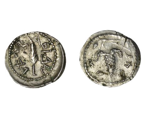 JUDÆA, Bar Kochba Revolt, Zuz [Denarius], yr 2 [133-4], ‘Simon’ [in Paleo-Hebrew script], bunch of grapes in three lobes hang