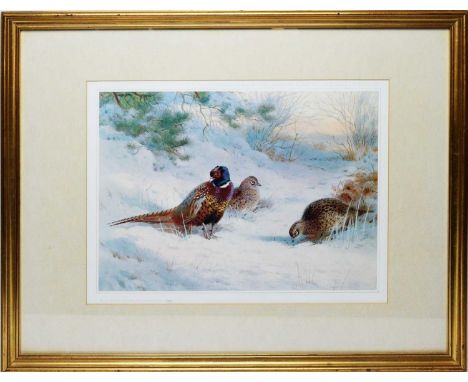 Archibald Thorburn - Pheasants in Snow, coloured print, published by the Tryon Gallery, London, numbered 202/500, 27 x 37.5cm