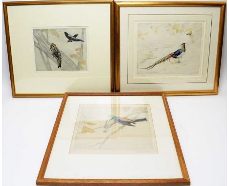 George Vernon Stokes - "Lady Amherst's Pheasant and Wren" and "Eurasian Roller", signed and numbered, hand-coloured etchings,