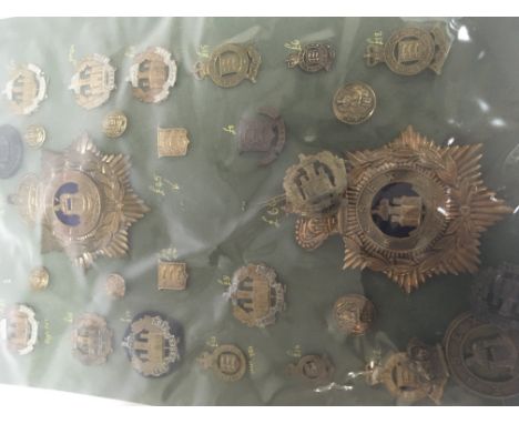 A collection of Essex Regiment badges buttons and two helmet plates b