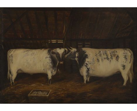 English Primitive School, 19th century A pair of prize shorthorn cattle in a barn oil on canvas49 x 67cmProvenance: Bonhams, 