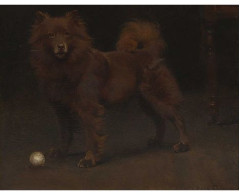 William Frank Calderon (1865-1943) A dog with a ballsigned 'W. Frank Calderon' l.l., oil on canvas45 x 55cmCondition ReportFr