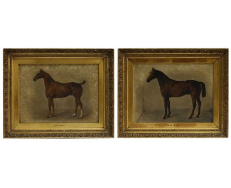 English School, c.1900 'Professor';'Gay Tom Tit' - studies of chestnut huntersa pair, oil on canvas22.5 x 30.5cm (2)Condition