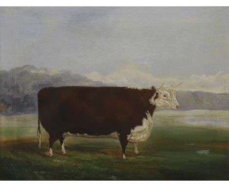 A… M… Gauci (fl.1848-1880) A prize Hereford heifer in a landscape signed and dated 'A. M. Gauci/1871' l.r., oil on canvas51 x