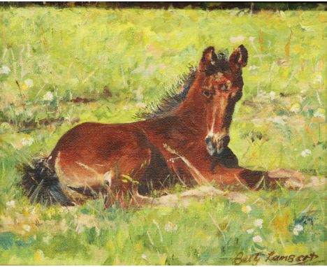 Betty Lambert Portrait of a Foal, Cocoasigned, inscribed to verso, 18.5cm x 24cm 