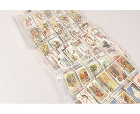 Natural History Hunting/Sports and Flora Themed Sets (40), all stored in plastic leaves, mainly more common sets, Bucktrout &