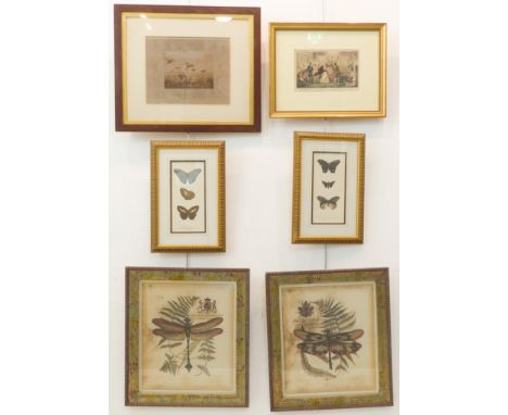 A selection of six engravings:a pair of butterfly prints (gilt frames, 35 x 23 cms);'Tom Jerry Logic etc' after R. Cruickshan