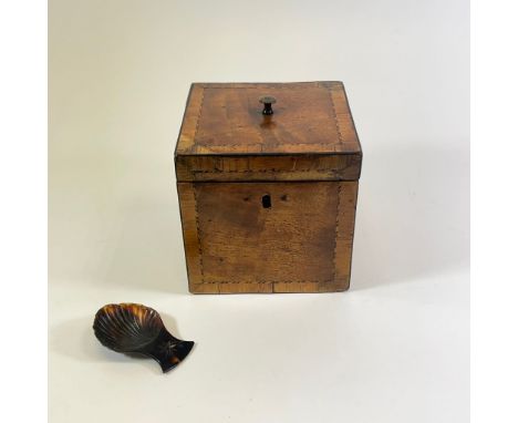 A Georgian square form mahogany tea caddy - approx 11cm tall with a tortoiseshell caddy spoon (spoon worn).