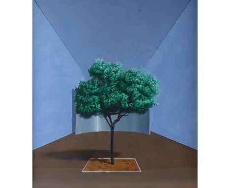 La Barbara, study of a tree, oil on canvas, signed dated '79, 48cm x 42cm, Provenance: Single owner collection of modern art 