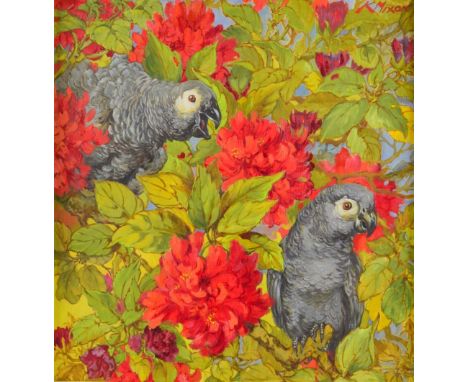 K Nixon - two grey parrots, signed, oil on board, 45.5cm x 43cm,     Canvas lifting away from board so some waving at edge