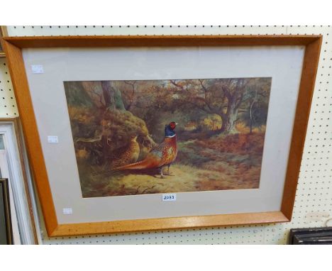 Archibold Thorburn: a vintage framed coloured print depicting pheasants