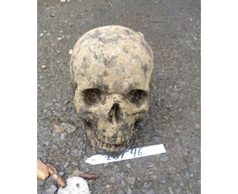 A small cast concrete garden ornament in the form of a human skull