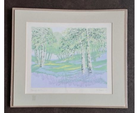 E SHORT - SPRING PRINT 20/41. 400 x 460 mm