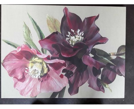 SARAH CASWELL - NIGHTSHADE HELLEBORE, CANVAS PRINT. 605 x 805 mm
