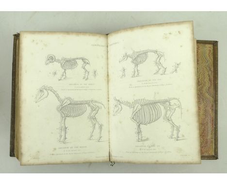 John C Morton; A Cyclopedia of Agriculture, first edition, 8vo, 2 vols, full calf, published by Blackie and Son, London 1855.