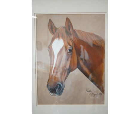 Pastel of a race horse signed &amp; dated 1999 indistinct signature 