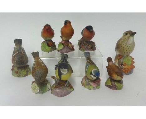 Royal Worcester, a collection of nine bone china birds, Model No: 3333, 3335, 3197. 3238, 3198, 3199, 3240, 3236 and 3234.