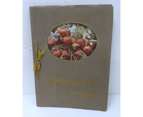 The Natural Color Kinematograph Co. &nbsp;Kinemacolor, Handbook. 96pp. Many illus. Orig. card wrappers. September 1910. &nbsp