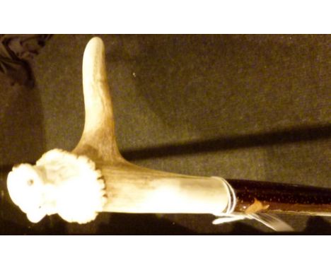 WALKING STICK. Hand carved antler frog handled walking stickL: 100 cm