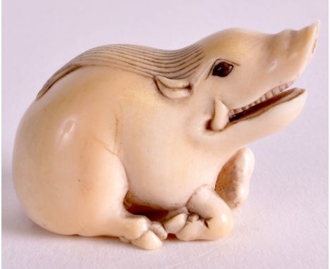 A FINE 19TH CENTURY JAPANESE MEIJI PERIOD CARVED IVORY NETSUKE depicting a boar with a snarling expression. 1.5ins wide.