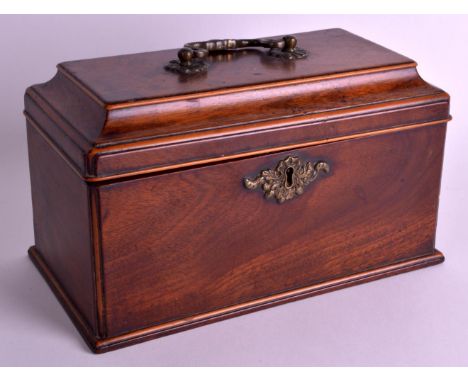 A GEORGE III MAHOGANY RECTANGULAR TEA CADDY with hinged top and brass lock plate. 9.25ins wide.