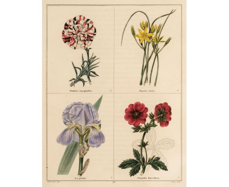 * Maund (Benjamin). The Botanic Garden..., 2 volumes (of 5), London: Simpkin &amp; Marshall, [1825-35], engraved title, appro