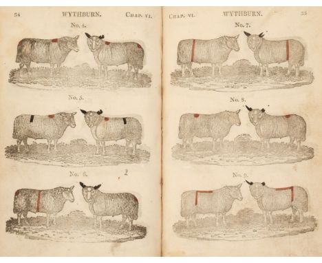 Sheep marks. The Shepherd's Guide or a delineation of the wool and ear marks on the different stocks of sheep in Patterdale, 