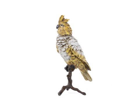 Franz Bergman (1861 - 1936) a large late 19th/early 20th century Austrian cold painted bronze figure of a cockatoo or parrot.