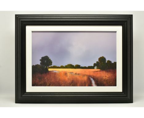 BARRY HILTON (BRITISH 1941) 'ENDURING LIGHT', a signed limited edition print on board, depicting a small stream running throu