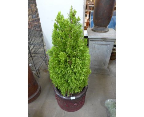 A terracotta planter including conifer tree