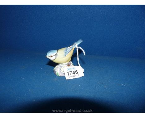 A Royal Worcester Blue tit (perfect).