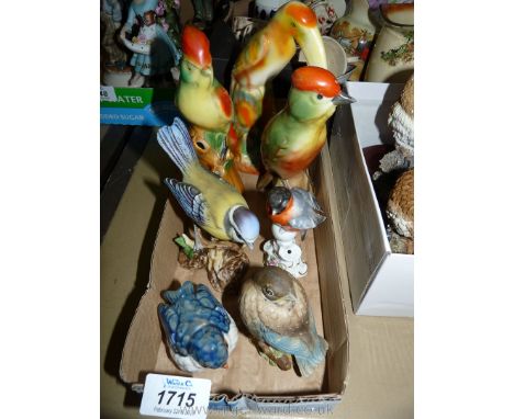 Miscellaneous birds including Goebel, a blue tit, blue bird etc.