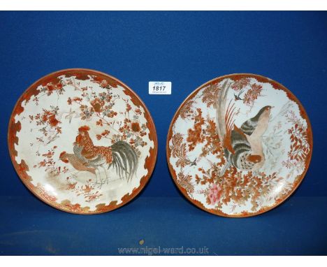 Two oriental Plates decorated with pheasant, cockerel and hens  designs in orange tones, one with thick orange ring to base, 