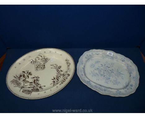 Two Asiatic Pheasants meat plates
