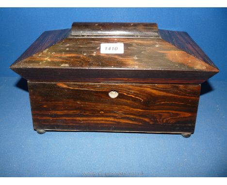 A sarcophagus shape Coromandel Tea Caddy with domed hinged caddy tops, bowl missing, 7 1/2" wide, 13" long and 8" high.  
