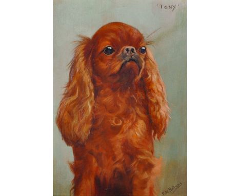Frances Mable Hollams (1877-1963) British.‘Tony’, Study of a King Charles Spaniel, Oil on Panel, Signed and Inscribed, 14” x 