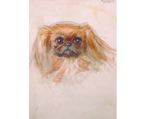 20th Century English School.“Susie”, a Pekinese, Watercolour, Inscribed, 8” x 6”, together with Two Watercolours, Portrait, V