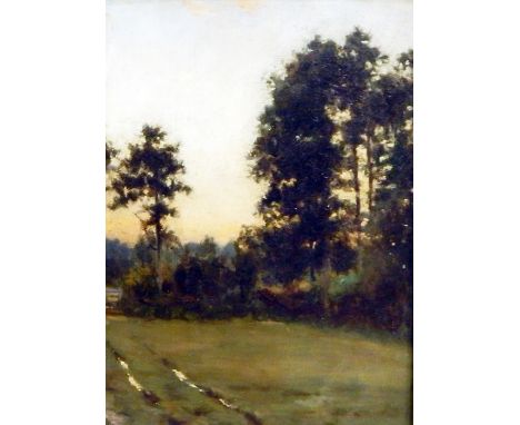 UnattributedOil on board Rural scene with field, fir trees and a gate far left, labelled verso 'Institute of Paint ...' (badl