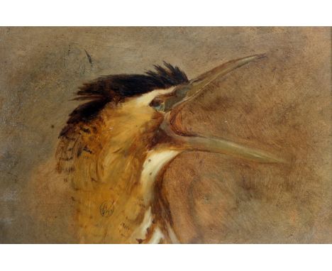 AFTER SIR EDWIN HENRY LANDSEER (BRITISH 1802-1873) STUDY OF A HERON'S HEAD; STUDY OF A BIRD'S LEGS AND CLAWS Oil on canvas la
