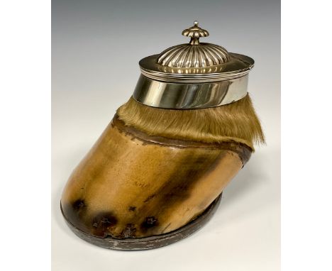 A 19th century Horse Hoof inkwell with silver-plated mounts, 15cm high, 16cm long. 