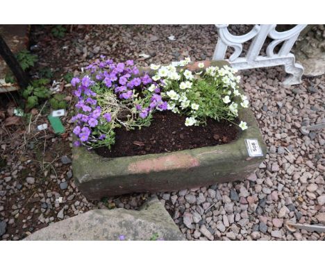 Small antique stone trough with plants