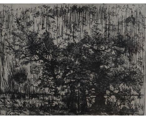 Peer Christian Stuwe (German, b.1952), etching, ‘Ein Regentag’, signed in pencil, 15 x 18cm. Condition - fair